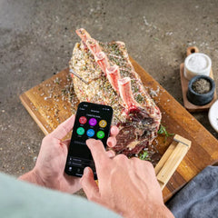 ISMARTCOOK Wireless Meat Thermometer